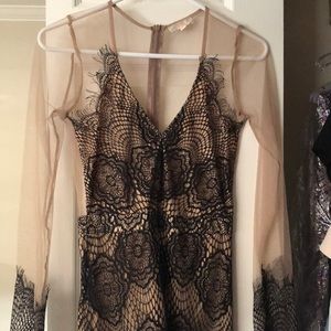 Black and Tan lace mesh dress